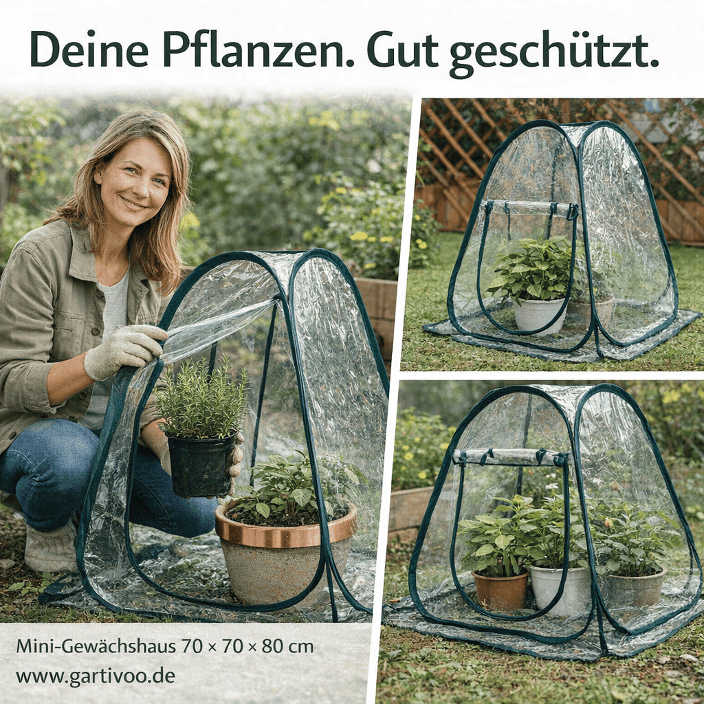 Mini Gewächshaus für Balkon und Garten