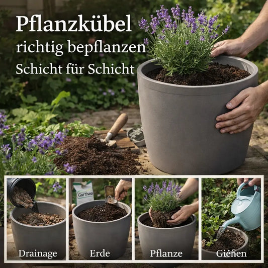 Pflanzkübel richtig bepflanzen Schritt für Schritt mit Drainage, Erde einfüllen, Pflanze einsetzen und anschließend richtig gießen.