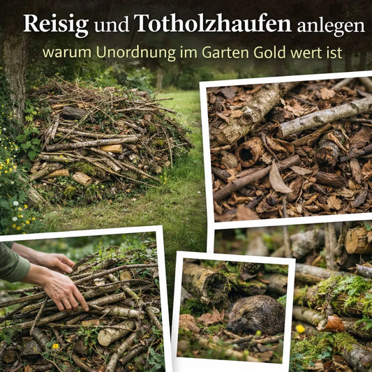 Collage mit Reisig- und Totholzhaufen, Strukturdetails, Aufbau und Igel im Garten.