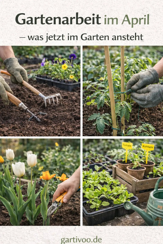 Collage mit typischen Gartenarbeiten im April: Beet vorbereiten, Tomaten anbinden, Frühlingsblumen pflegen und Jungpflanzen für die Saison vorziehen.