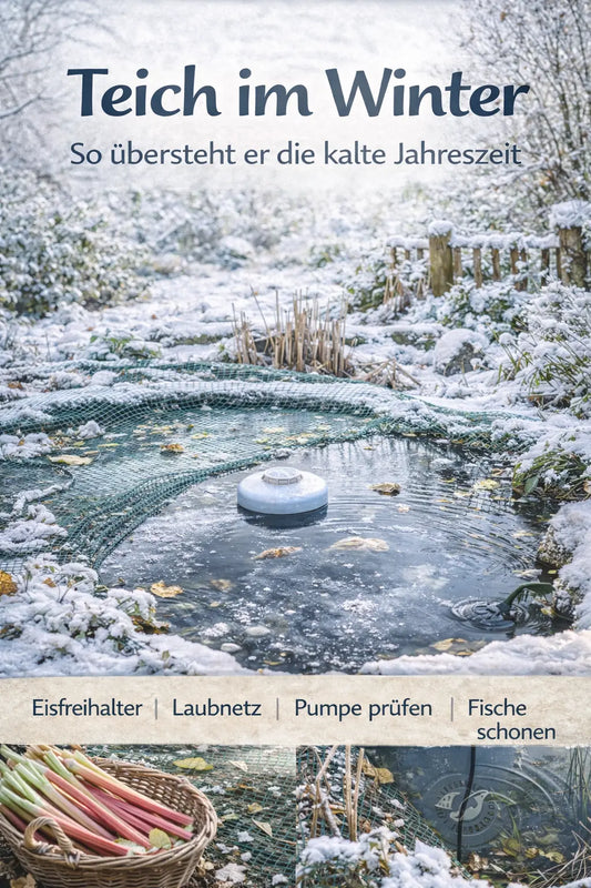Winterlicher Gartenteich mit Schnee am Ufer und teilweise zugefrorener Wasseroberfläche; ein Eisfreihalter schwimmt im Teich, darüber liegt ein Laubnetz, im Hintergrund kahle Sträucher und winterliches Licht.