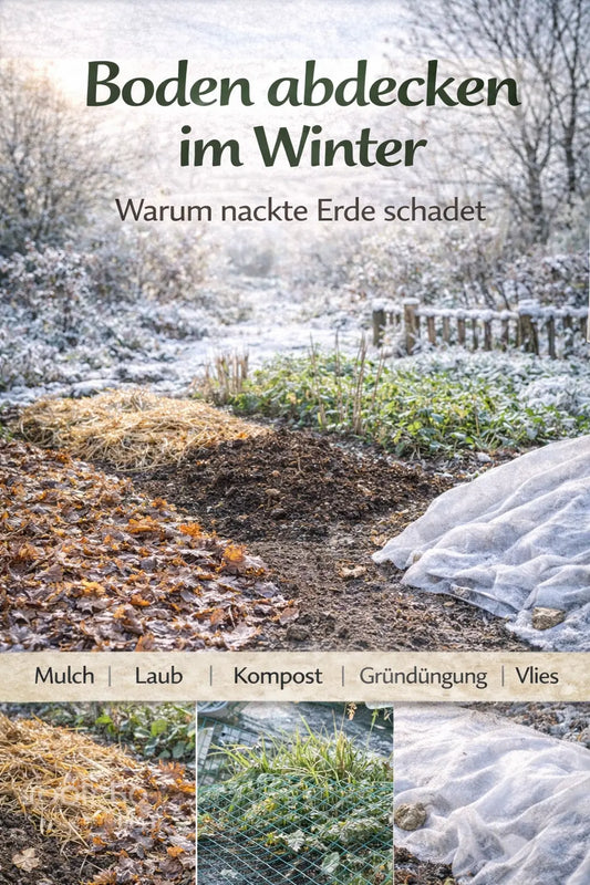 Winterliches Beet mit verschiedenen Bodenabdeckungen: links Mulch und Laub, in der Mitte Kompost und Gründüngung, rechts liegt Gartenvlies über der Erde; im Hintergrund verschneiter Garten mit kahlen Bäumen.
