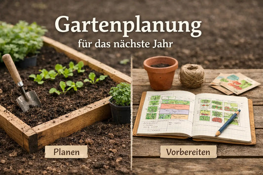 Gartenplanung für das nächste Jahr – so geht man es an