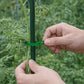 Wiederverwendbare Pflanzenbinder 13 cm für Tomaten und Stauden