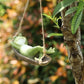 Hängende Froschfigur in Hängematte lustige Gartendeko aus Kunstharz